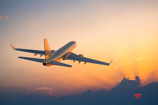 Flight Reservations